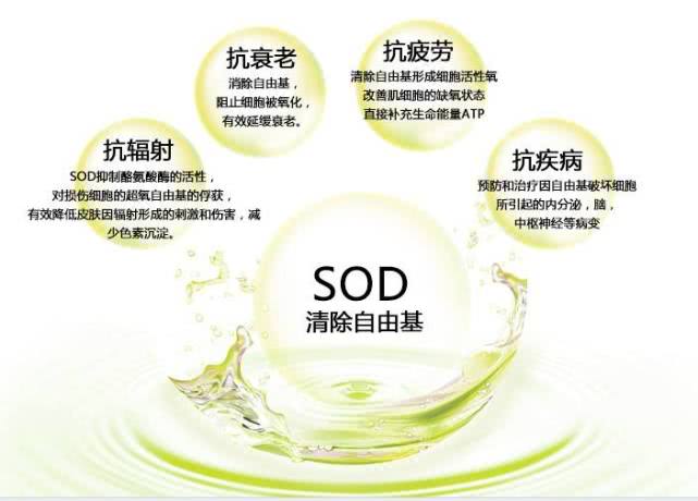sod有那么好吗,SOD是什么产品