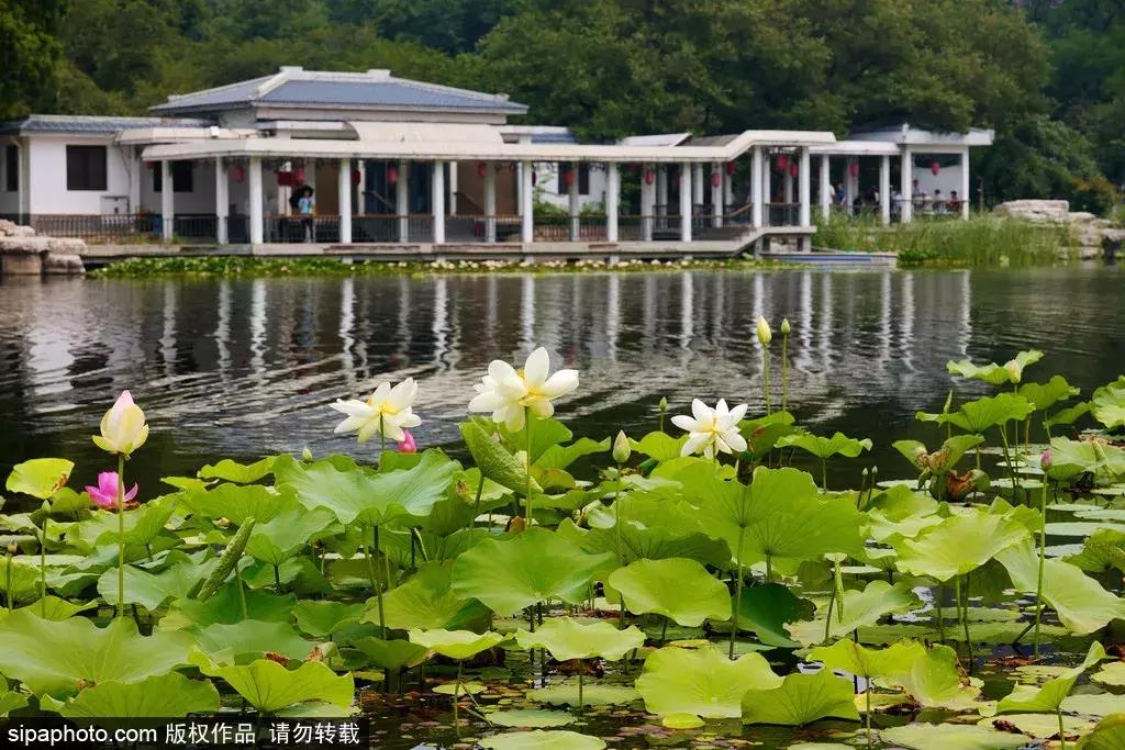 周末北京这些值得去的地方,北京周末来这儿玩