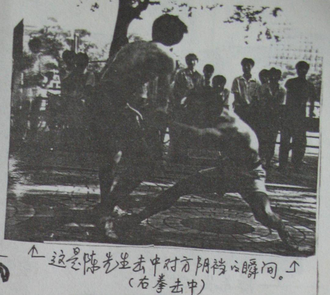 陈鹤皋疯狗拳自由搏击,陈鹤皋疯狗拳宗师