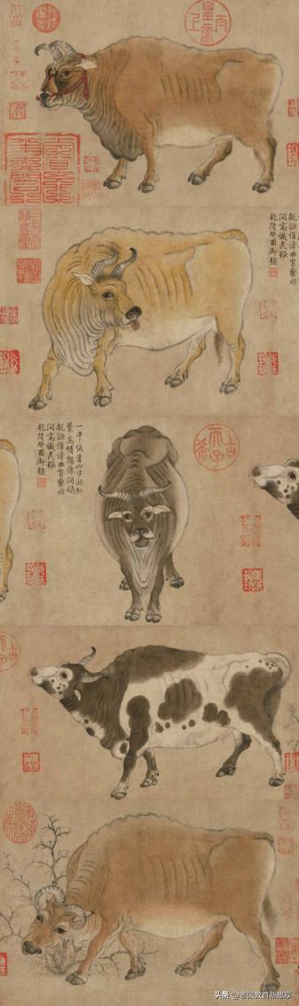 涨知识生肖,牛年感悟牛文化