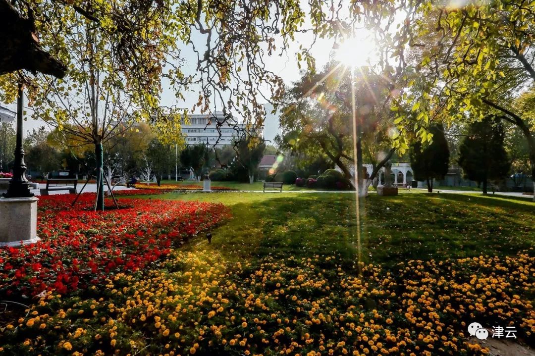 中心公园现状,城市中心公园