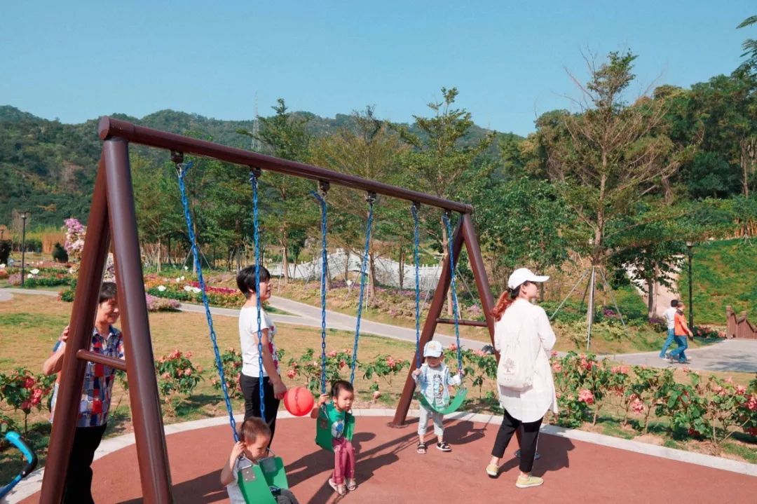 人少还免门票！深圳这片5000000㎡新公园美翻了，“神仙花谷”
