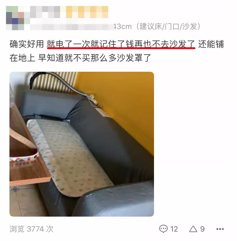 猫乱尿怎么办视频最火,猫乱尿怎么办有什么办法