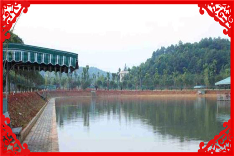 目前农村养殖什么最好赚钱,最新农村养殖什么投资少赚钱快