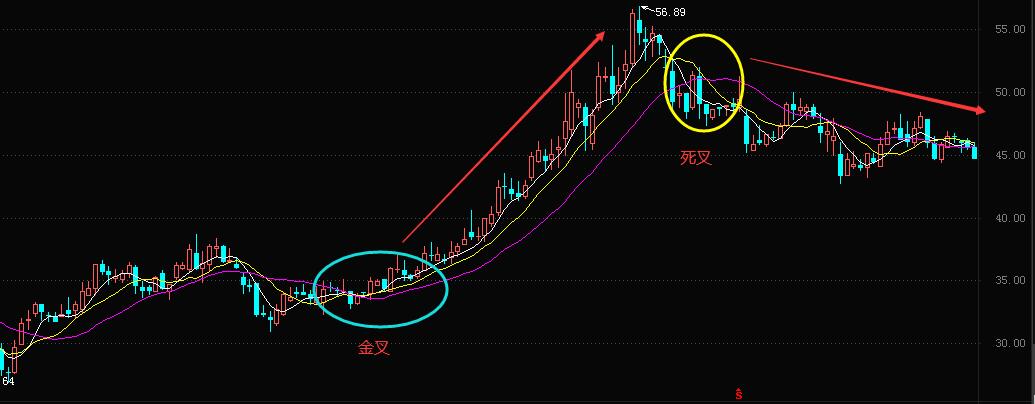 股市神奇的投资规律,股市上的神奇指标