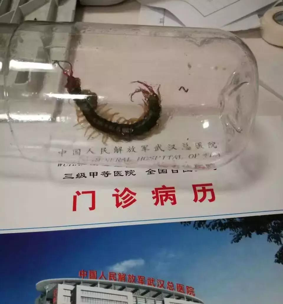 兵哥野外驻训需要什么,野外训练兵哥哥需要多长时间