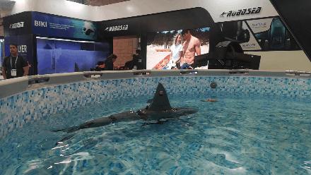 承恩寺维修时间,初二生物线上家长会