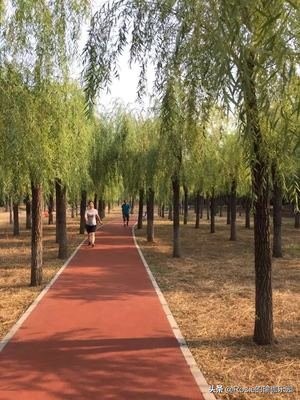 跑步会伤膝盖吗如何保护膝关节,穿高跟鞋经常久站怎么缓解