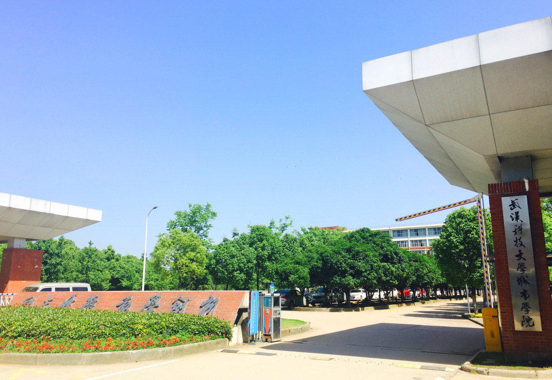 武汉大学梦想,高职扩招圆大学梦