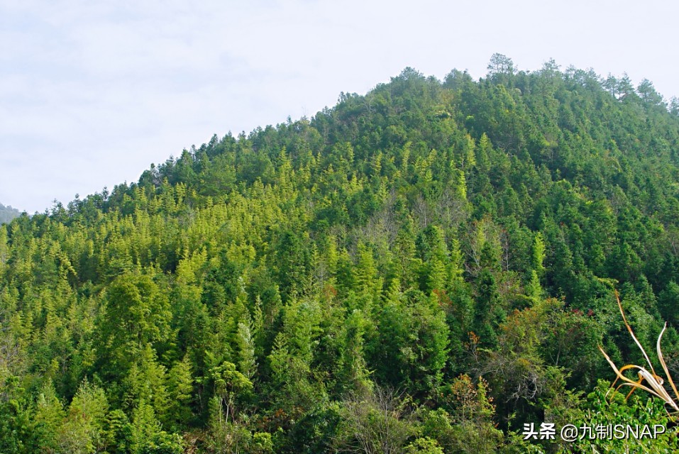 云髻山，风花雪叶自在乾坤
