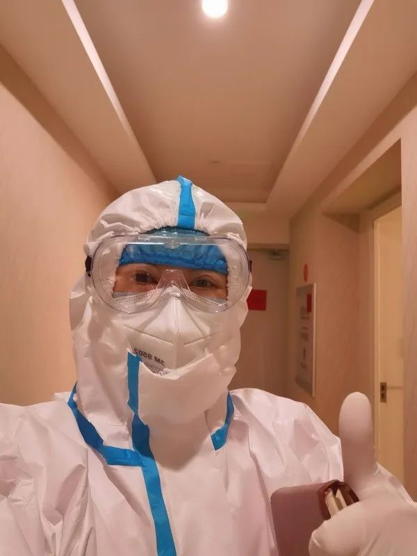 美丽迎春花开了,迎春花盛开的绝美春日盛景