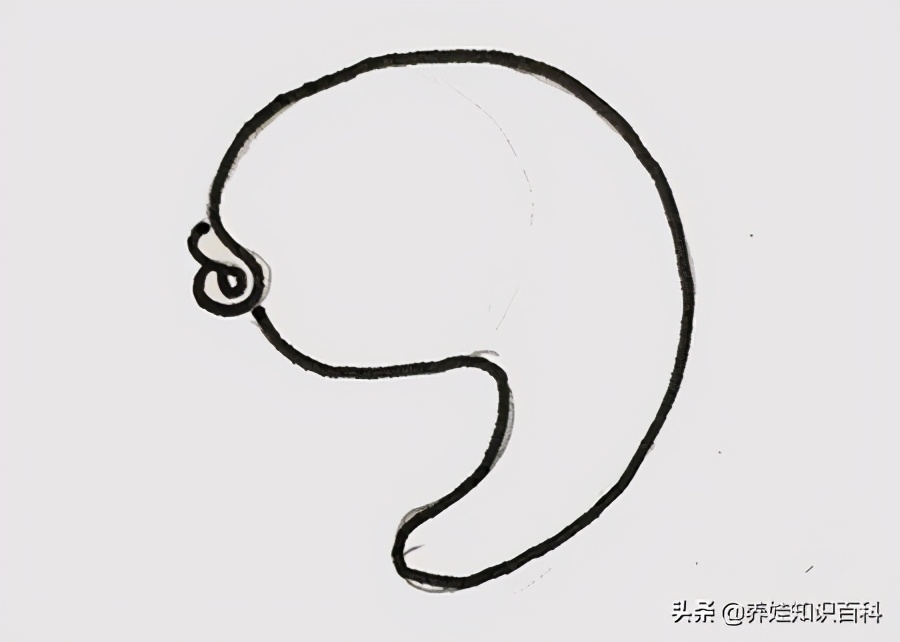 小鱼怎么画才好看呢,小鱼怎么画小学生二年级上册