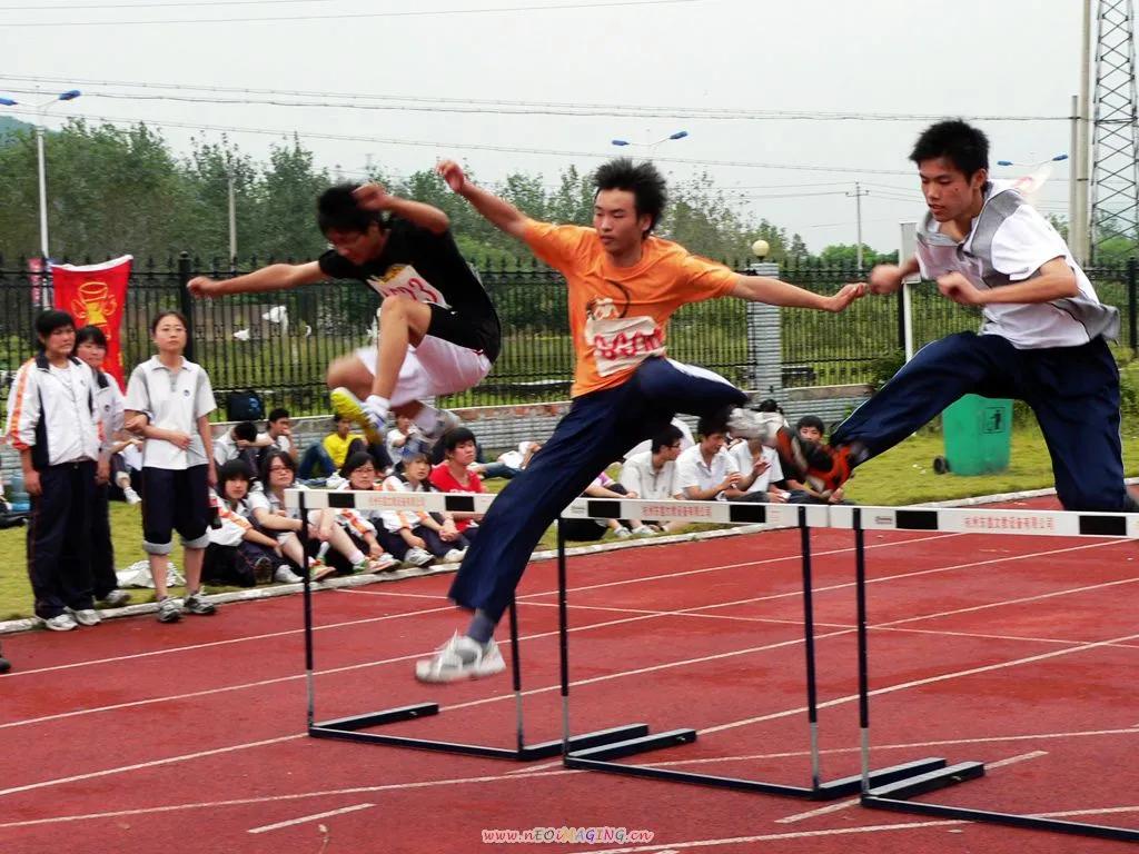 余杭凤凰小学城东校区扩建,杭州余杭仁和中学扩建