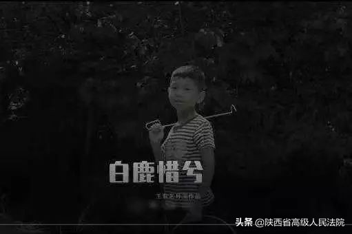 掌声响起来总决赛完整版,掌声响起来刘德华完整版