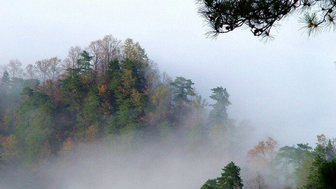 旅游秦岭风景区攻略图,秦岭南五台日出云海仙气飘飘
