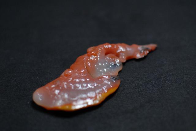 家有万石粮完整版,家有万石粮下一句