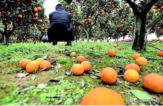 被尊为商业兴隆的神明,关于农村淘宝未来发展的三个猜想