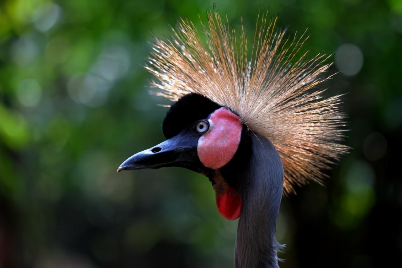 期末考试优秀作文200字,期末作文故事借鉴