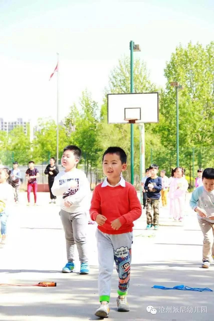 派尼幼儿园,贝蒙幼儿园幼小衔接课程