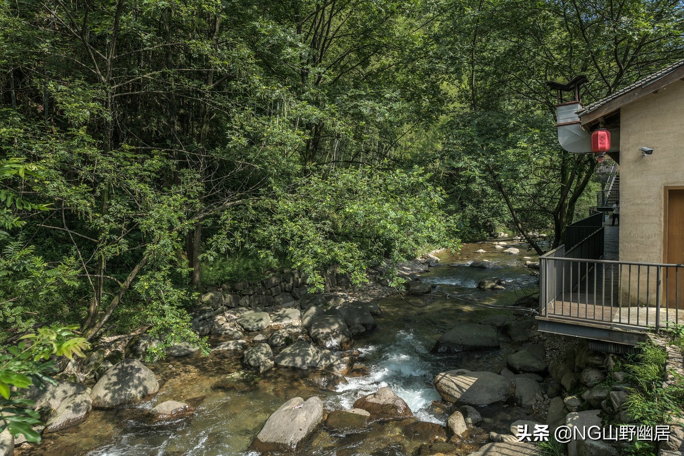 衢州民宿有竹子,衢州柯城郊区民宿