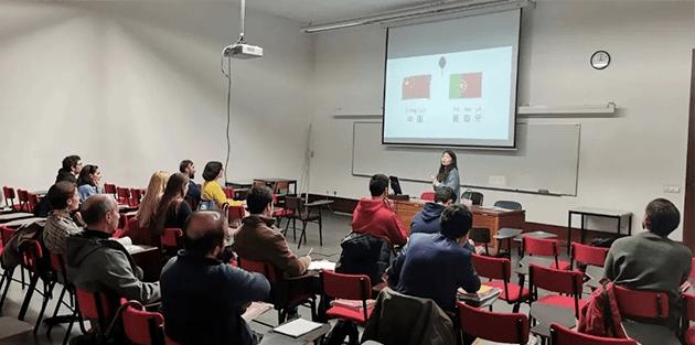 葡萄牙波尔图大学,葡萄牙波尔图学校