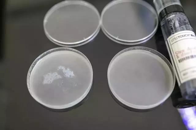 “脚臭”最怕脱鞋尴尬？随身带瓶鞋袜除味喷雾，还你自信每一天