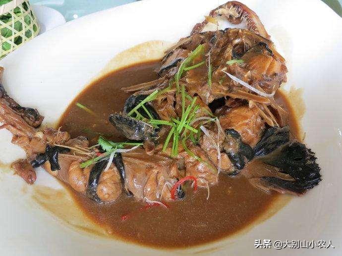 深海的鮟鱇鱼,深海鮟鱇鱼