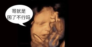 怀孕后吃得太多对胎儿有影响吗,怀孕吃得少会影响胎儿发育