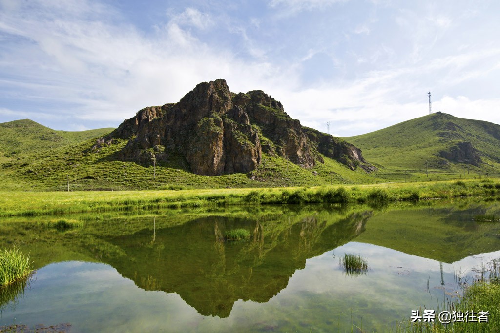 丰宁野花,丰宁坝上草原花海