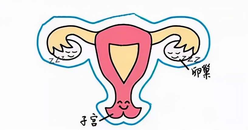 取很多卵为什么优质的少,为什么取的卵比实际的卵少