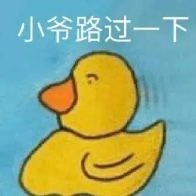 太平鸟登时装周,太平鸟2019时装秀