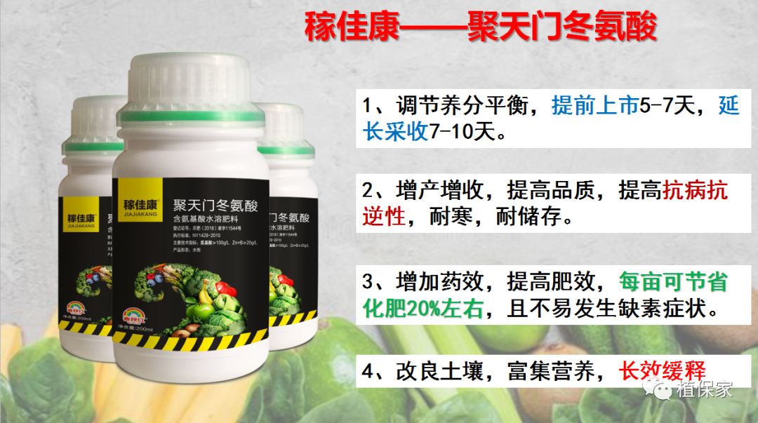 聚谷氨酸肥主要功能与肥效,聚天门冬氨酸在肥料中添加比例