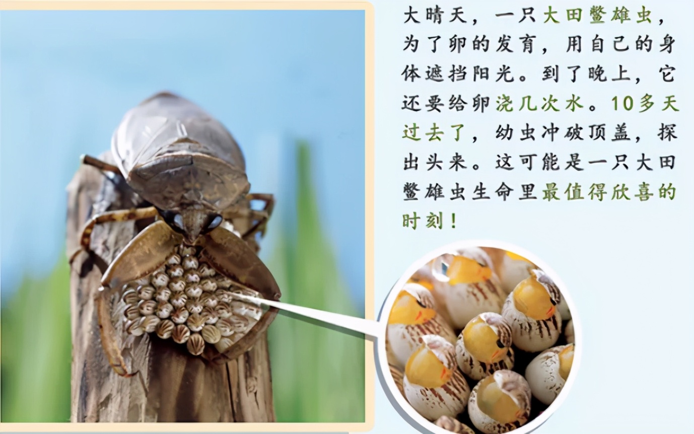 推荐3-6岁必看十本绘本中国,适合9-12岁孩子的绘本书单