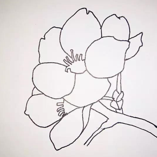 桃花简笔画：一步一步教你画桃花的教程，简单又好看，你想学吗？