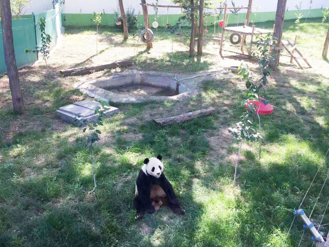 博山区年审,博山年审