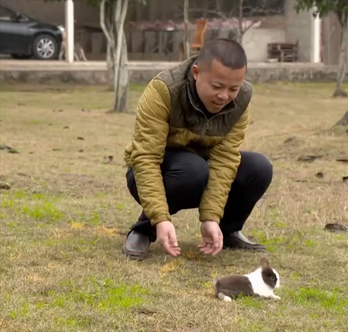 农村小伙养巴哥犬一年赚10万,小伙开宠物乐园年赚1800万