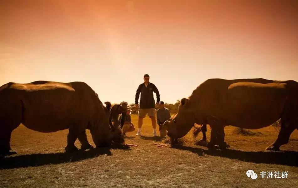 姚明,不止坚守着中国男篮,还守护着非洲