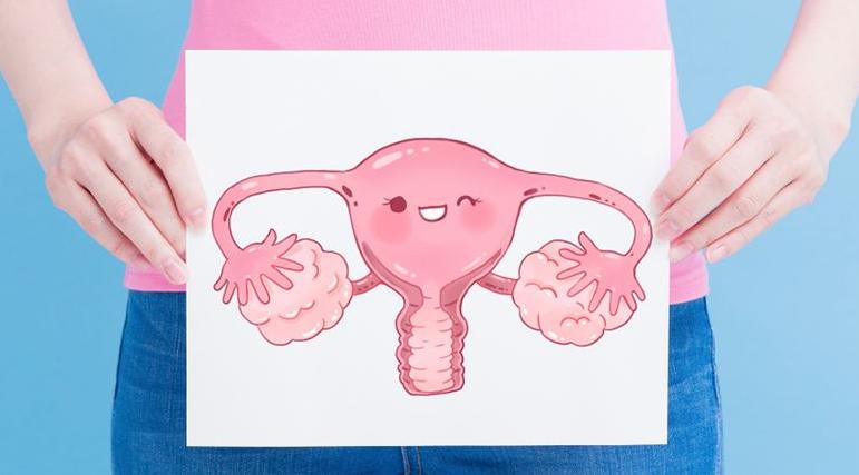 输卵管堵塞基础科普知识,输卵管不孕的常识