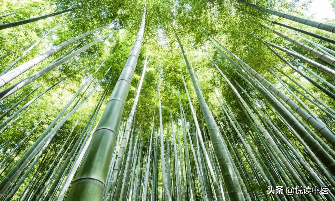 脾胃病施治的5大误区,脾胃病的自我治疗方法