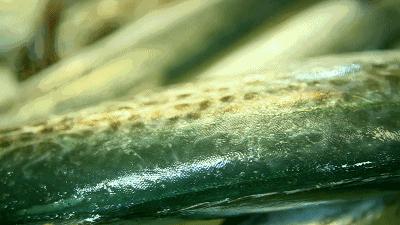 一碗最好的海鲜面,一碗鲜气满满的海鲜面