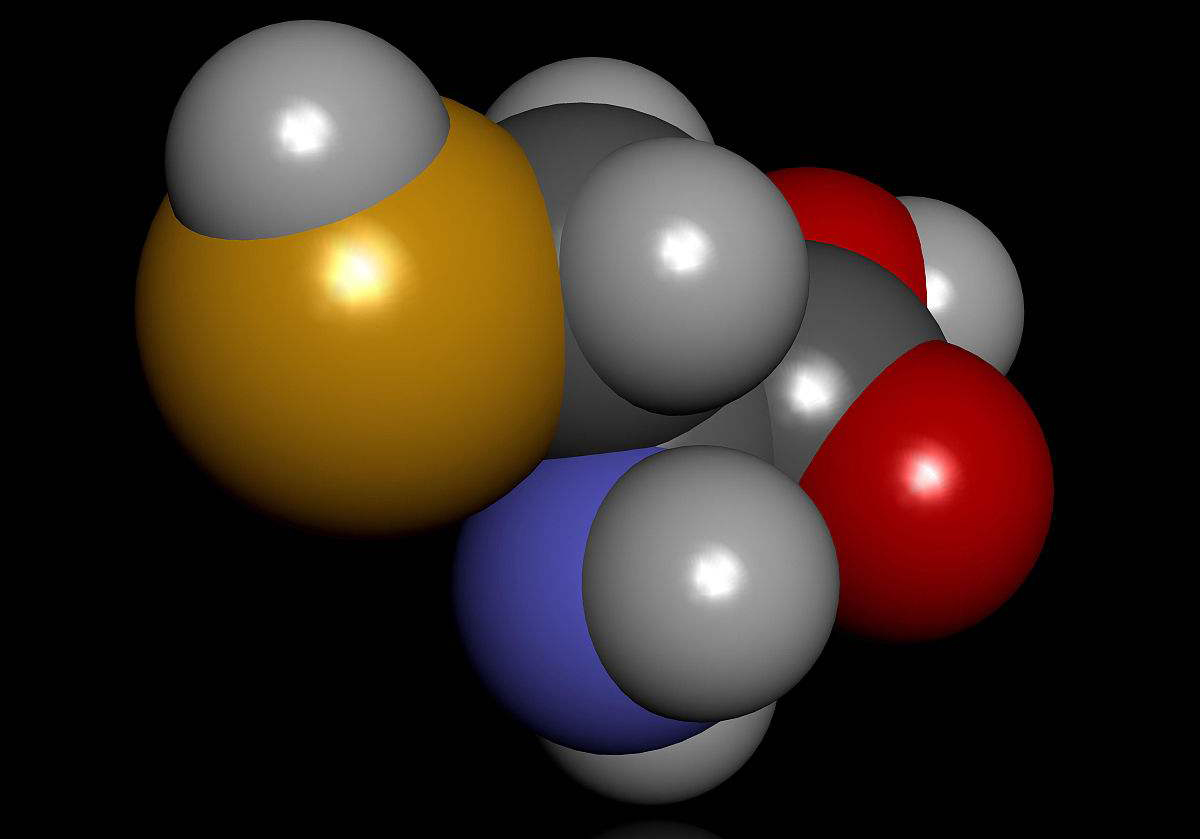 从无机到有机，生命的出现几乎是不可能的，生命到底从何而来？