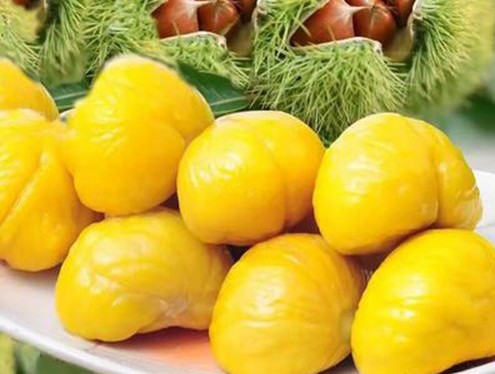 魂牵梦绕的地方是家乡完整版,魂牵梦绕的地方