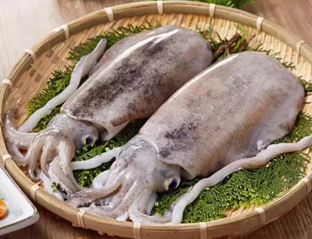 章鱼鱿鱼乌贼傻傻分不清,章鱼鱿鱼乌贼这三样有什么区别