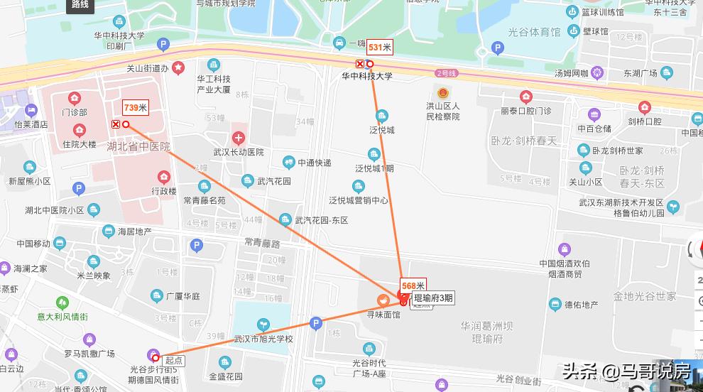 光谷东神盘,武汉神盘再现