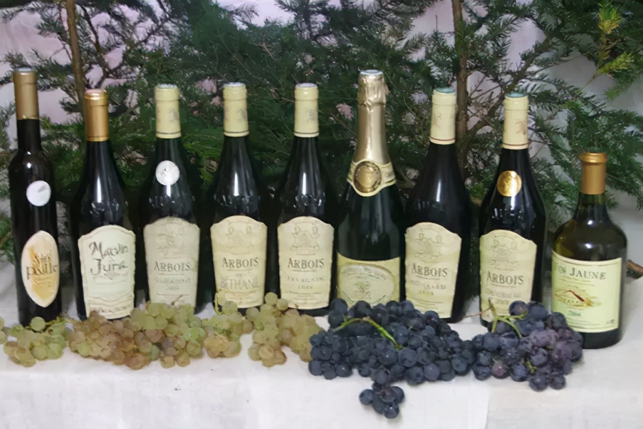 葡萄酒醒酒优美教程,葡萄酒入门100句