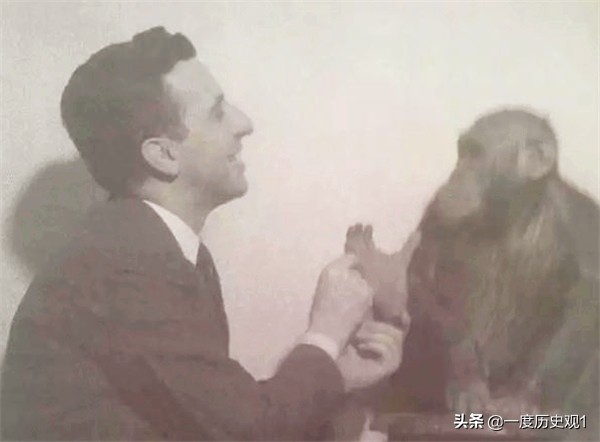 诺奖最多的医学奖,医学史上的诺奖