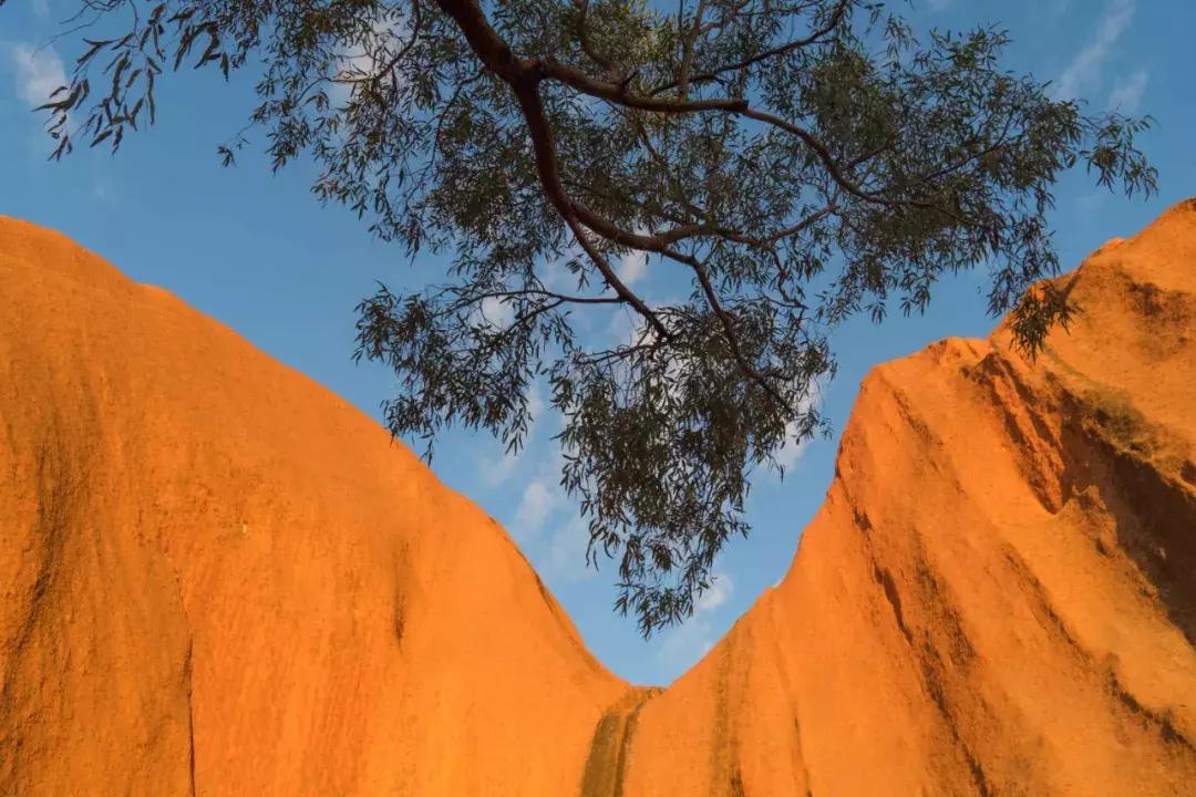 会玩的人一般去哪玩,为什么澳大利亚四面环海