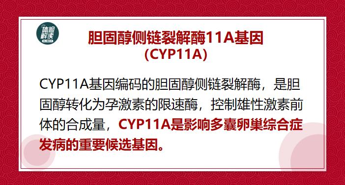 多囊卵巢综合症检查结果单,多囊卵巢综合症报告单怎么看