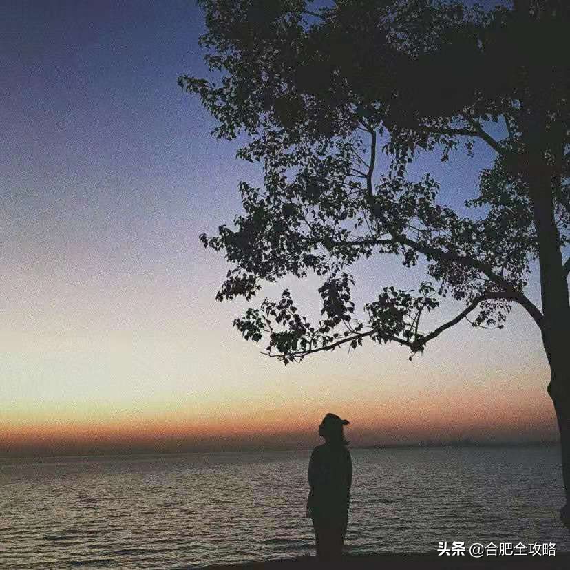 合肥有哪些好玩的地方值得一去,本地人认为合肥最值得游玩的地方