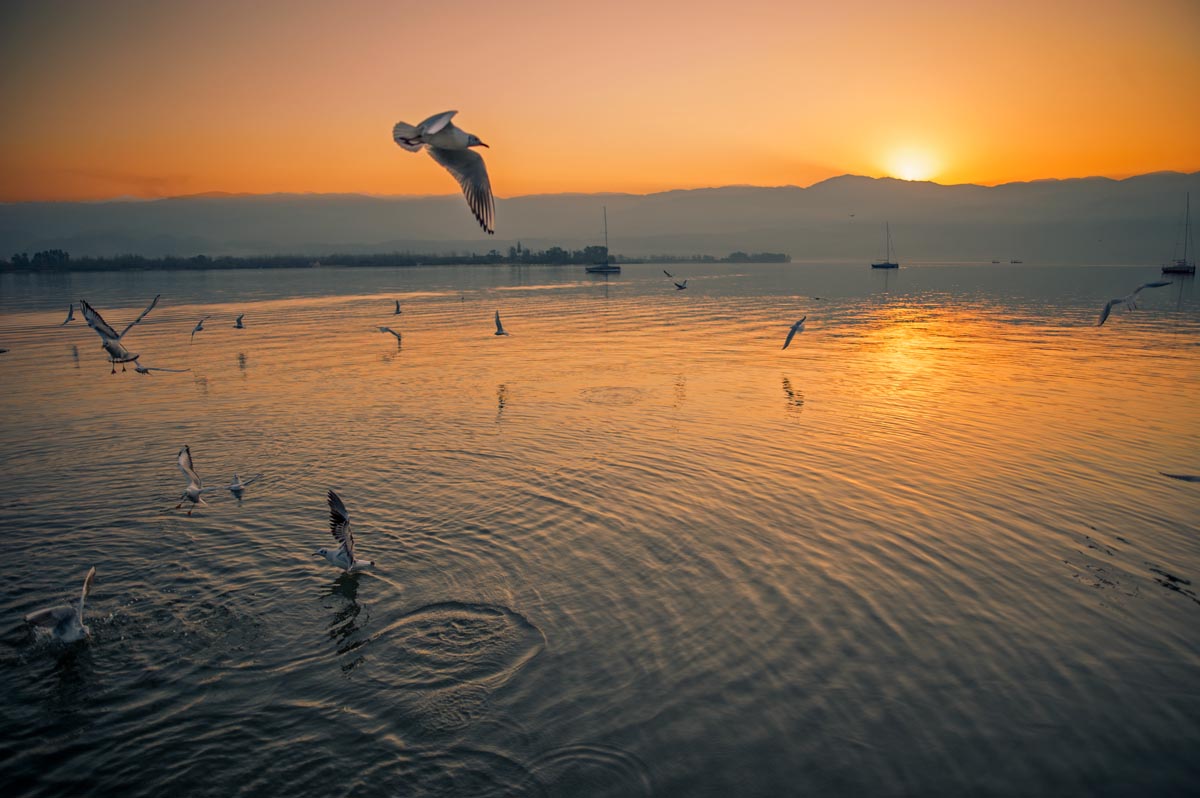 西昌一座你来就不想走的城市,邛海一个充满诗情画意的远方